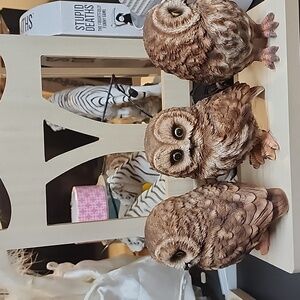 Wooden shelf with 3 polystone owls glued to it